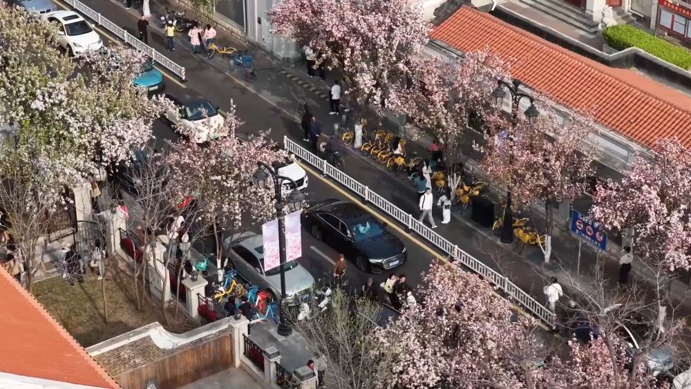 新华视点｜“春日经济”激活文旅消费新活力