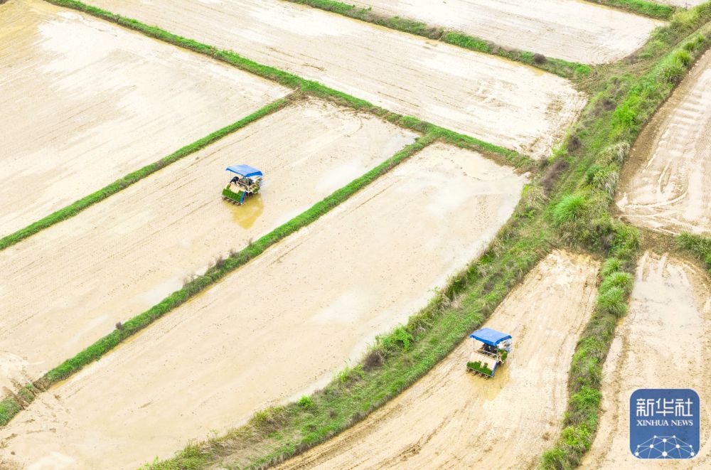 春播千畴绿 田野绘新卷 春播千畴绿 田野绘新卷