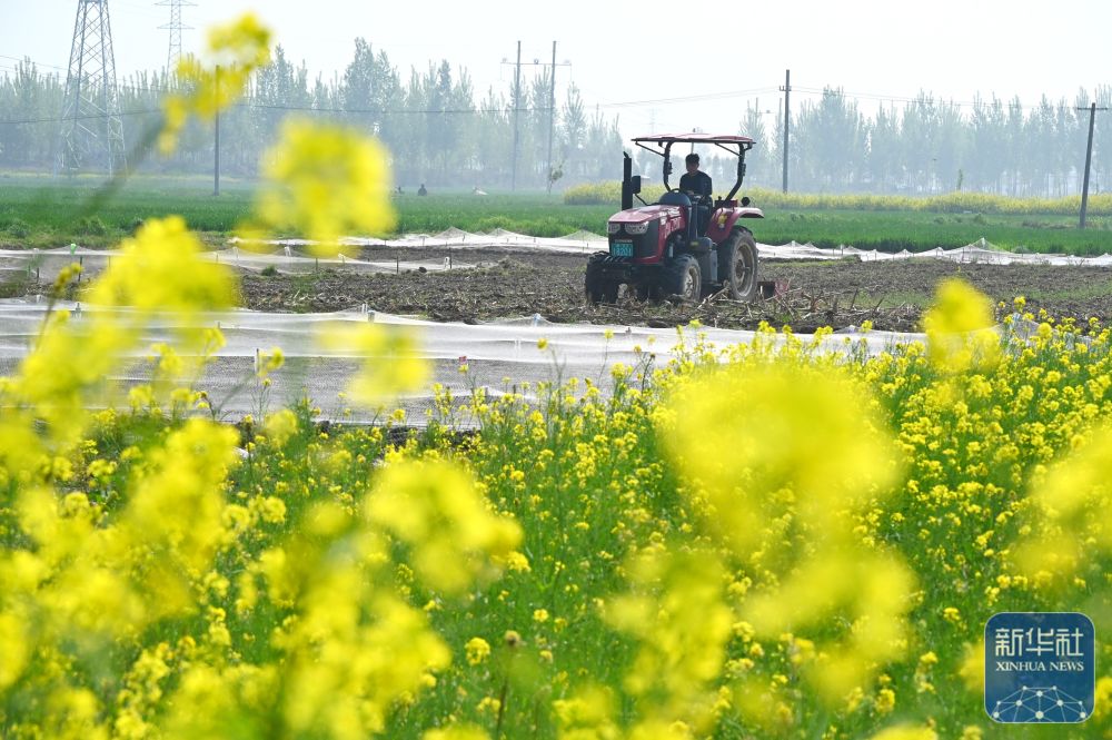 春播千畴绿 田野绘新卷 春播千畴绿 田野绘新卷