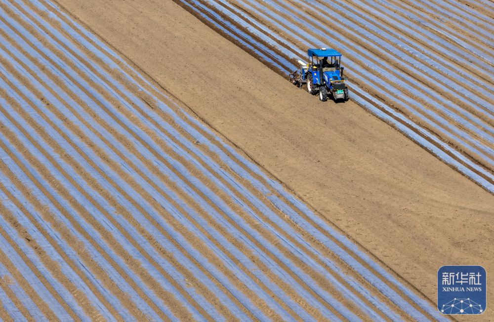 春播千畴绿 田野绘新卷 春播千畴绿 田野绘新卷