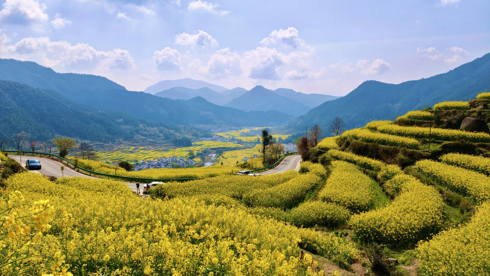 春日经济新图景｜这份原生态，守住了春天最硬核的美！