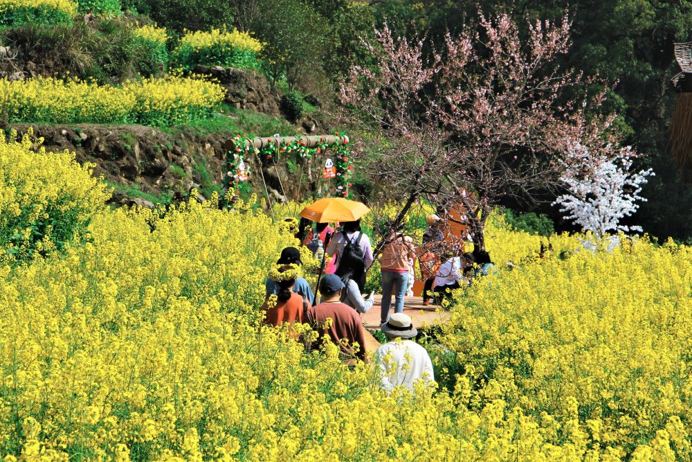 春日经济新图景|这份原生态,守住了春天最硬核的美! 春日经济新图景|这份原生态,守住了春天最硬核的美!