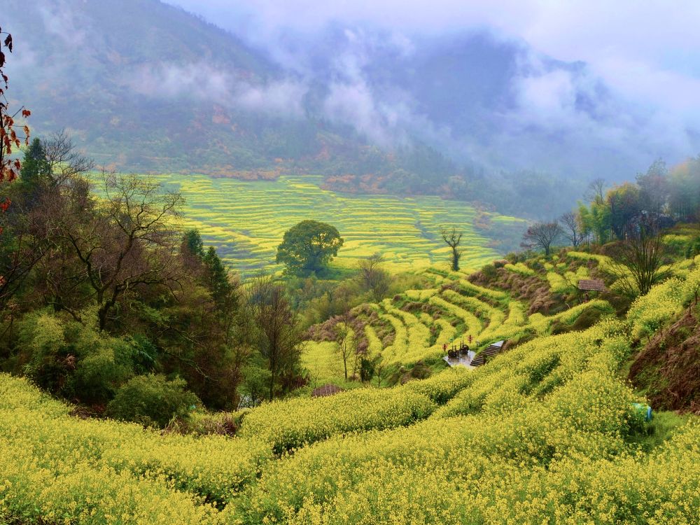 春日经济新图景|这份原生态,守住了春天最硬核的美! 春日经济新图景|这份原生态,守住了春天最硬核的美!