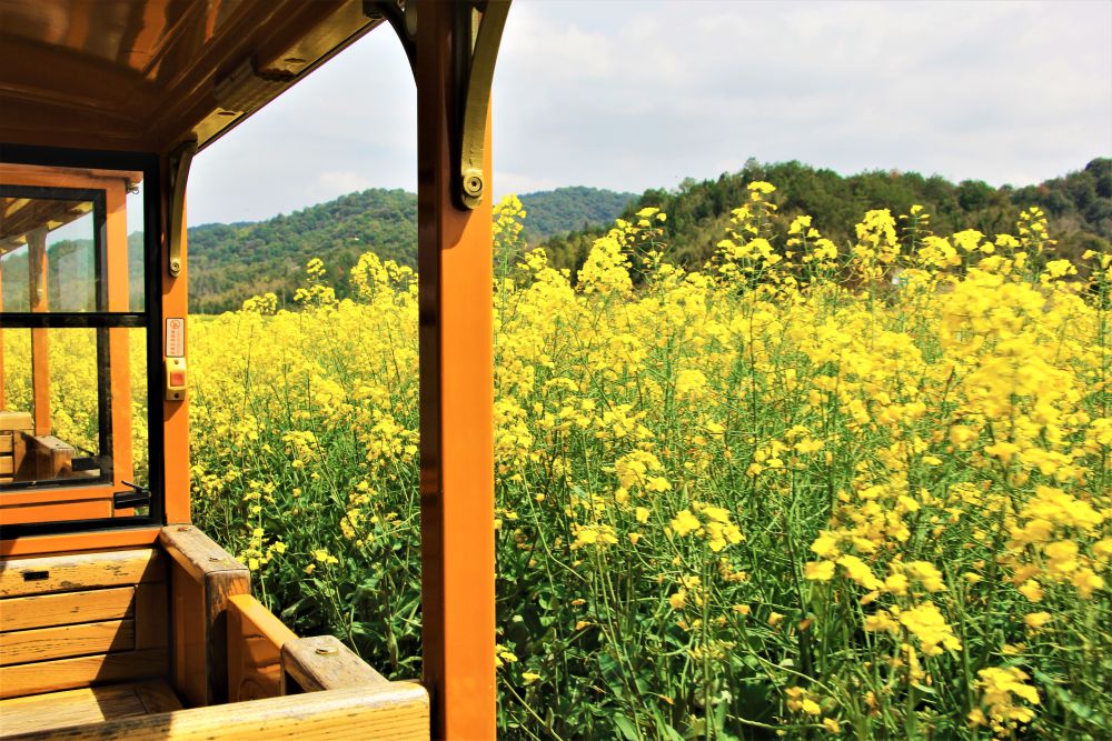 春日经济新图景|这份原生态,守住了春天最硬核的美! 春日经济新图景|这份原生态,守住了春天最硬核的美!