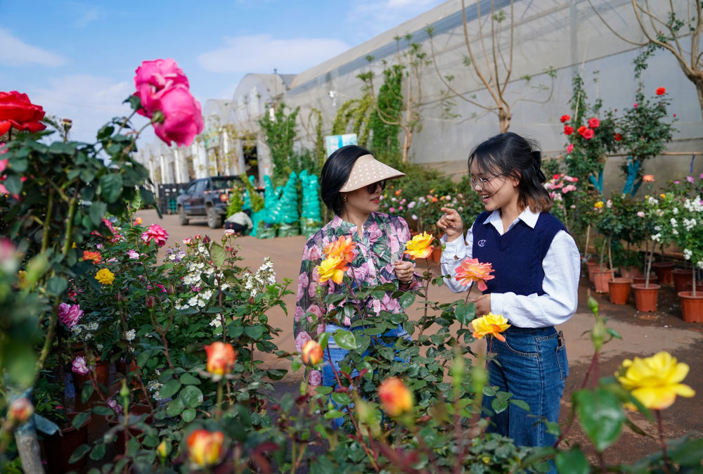 镜观·回响丨在交流中深化中越青年情谊