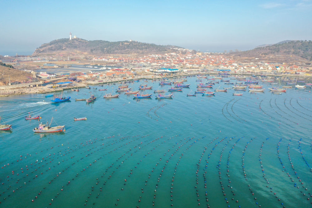 解码文化自信的城市样本｜烟台：山海毓秀起宏图