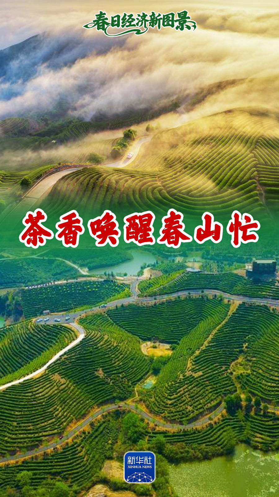 春日经济新图景｜茶香唤醒春山忙