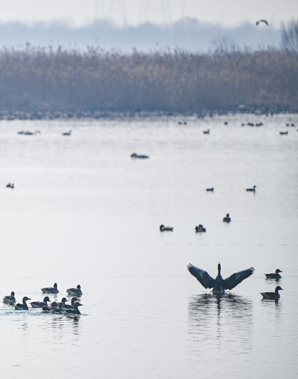 一座中国村庄的“气候民生”