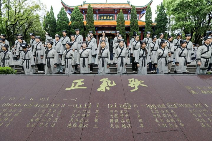 “读圣贤书，所学何事？”——杜鹃花开时再读文天祥