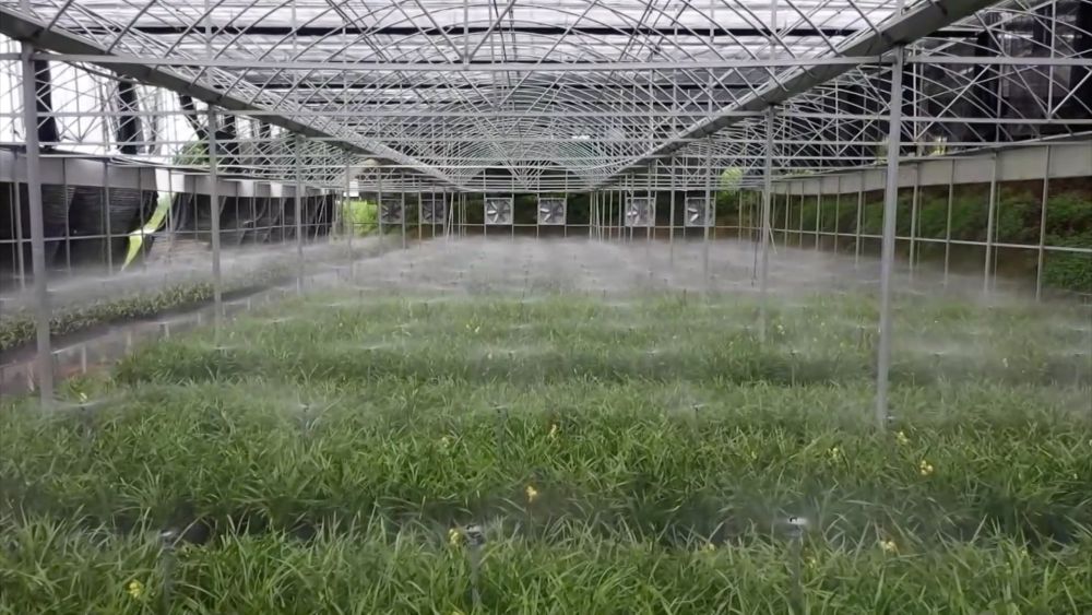 科技赋能 特色产业助力乡村振兴