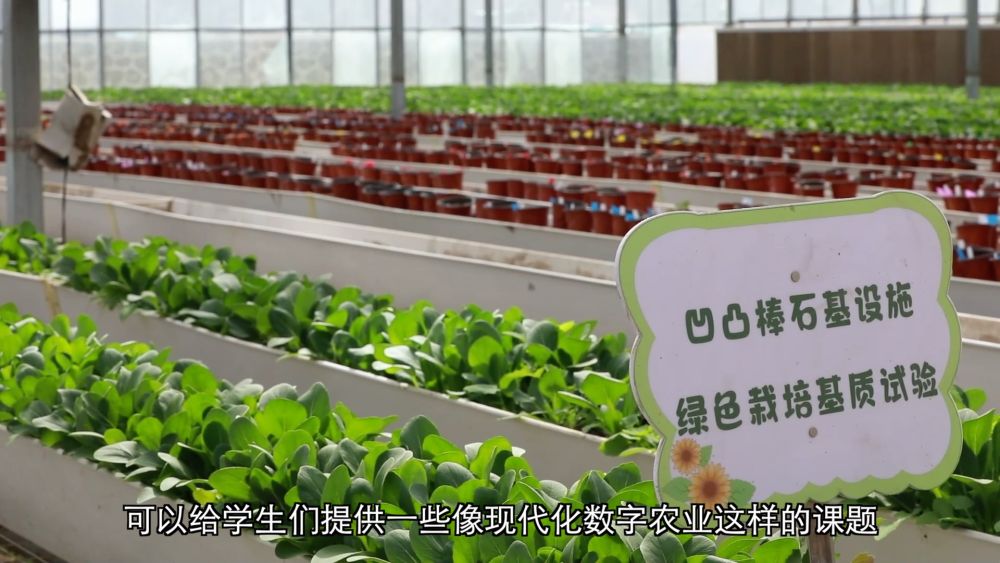 科技赋能 特色产业助力乡村振兴