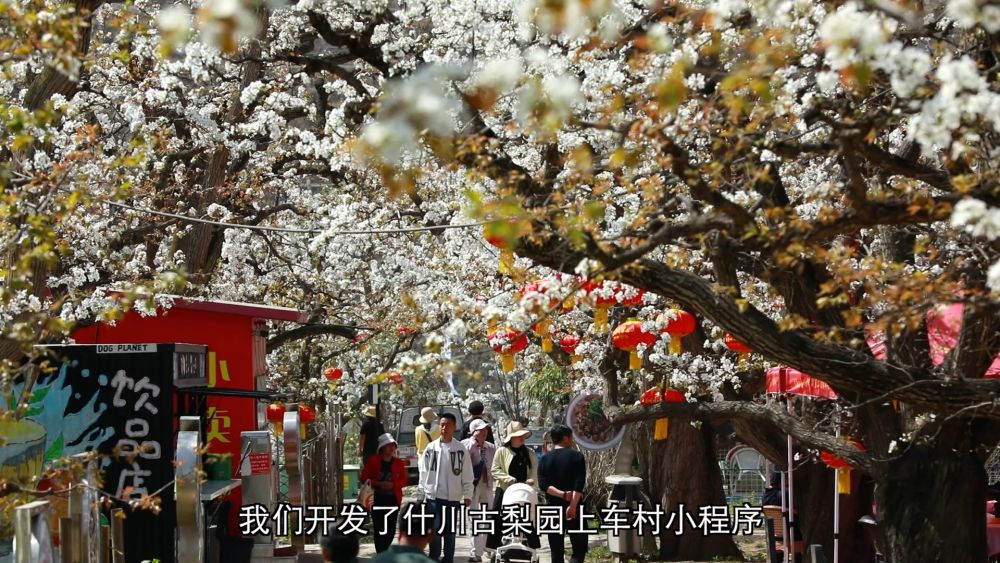 科技赋能 特色产业助力乡村振兴