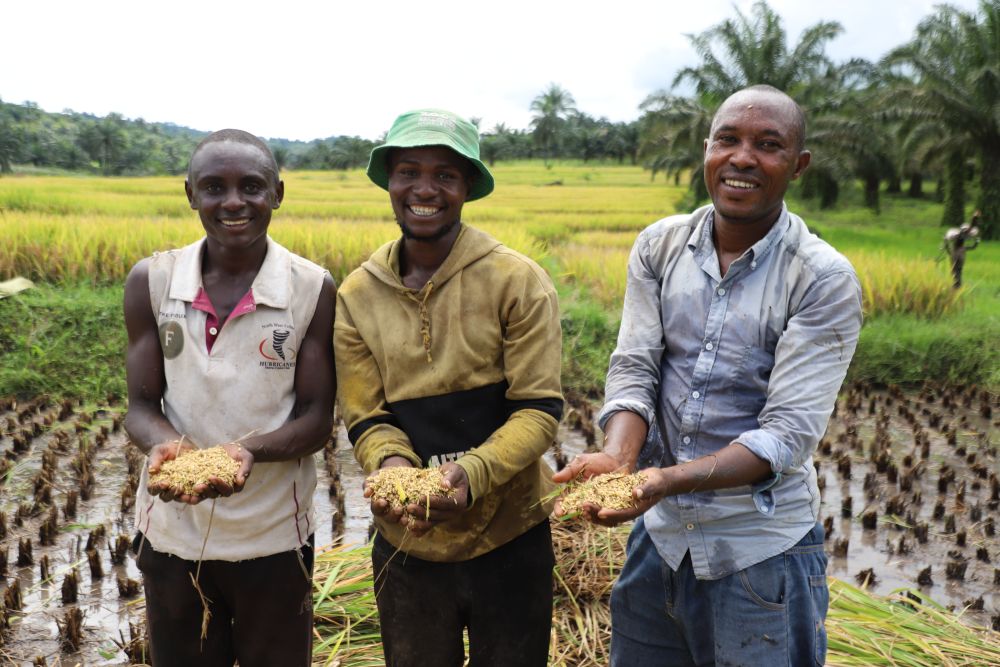 中国元首外交为动荡世界注入稳定力量