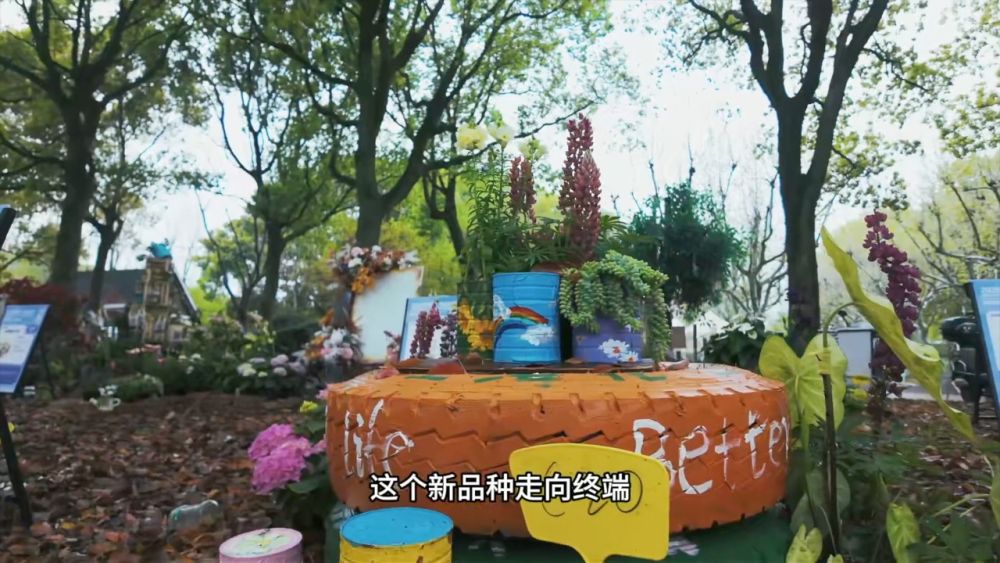 从良渚创客空间到乌江古镇 看见中国经济的春意