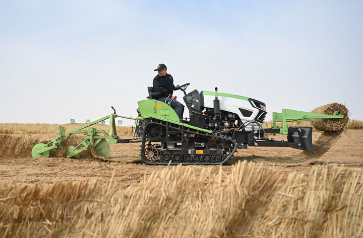 绿润丝路 沙海生金——全球荒漠化治理的中国智慧