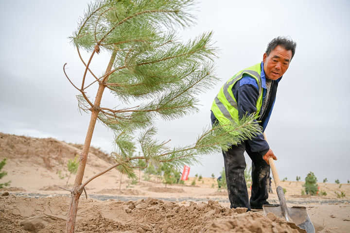 绿润丝路 沙海生金——全球荒漠化治理的中国智慧