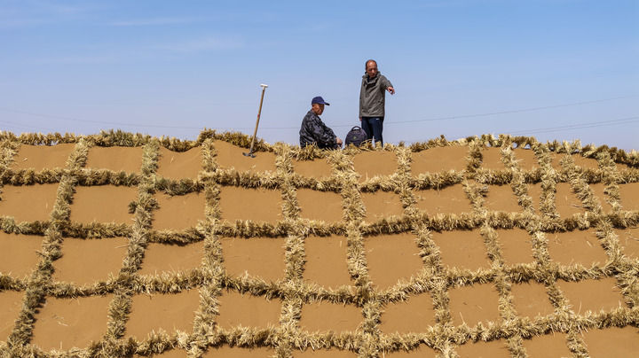 绿润丝路 沙海生金——全球荒漠化治理的中国智慧