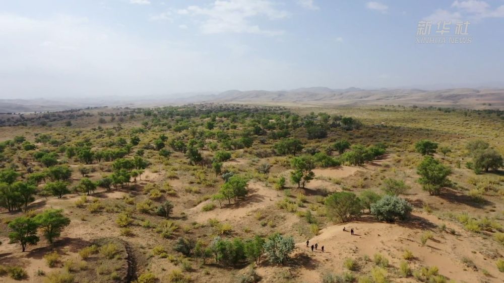 万里同心 共护山河