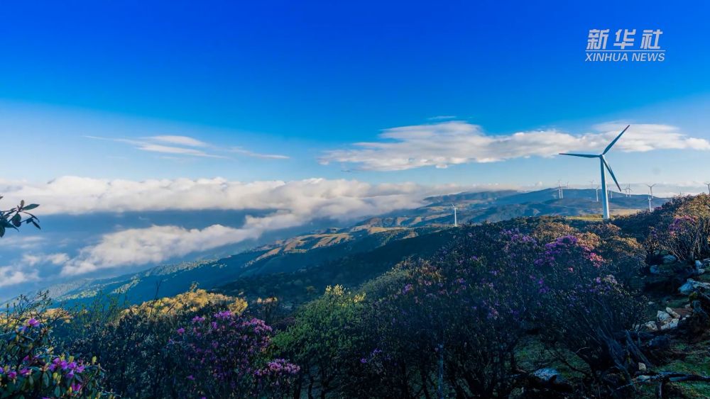 万里同心 共护山河