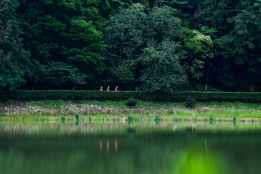 首席记者谈首季经济｜高原观“海”探寻生态经济密码