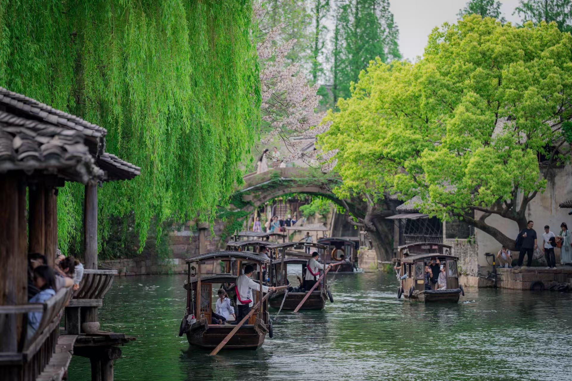 五一春假下江南：蚕花盛会、灵水居光影秀、木心美术馆特展……解锁乌镇文旅新体验