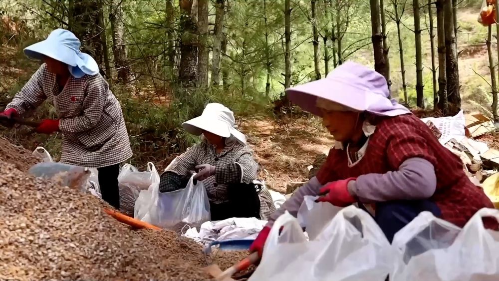 新华视点｜创新实干驱动区域发展提速升级