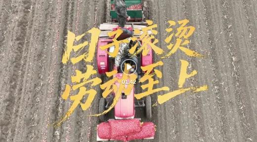 日子滚烫 劳动至上