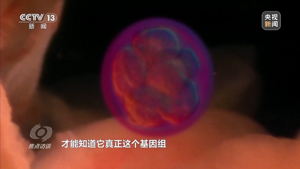 焦点访谈丨“舟”行万里赴星河 中国空间站“太空快递”再上新