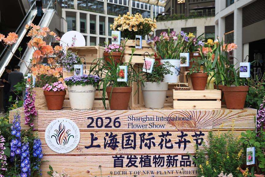 2026上海国际花卉节落幕 一朵花开出城市最温暖底色