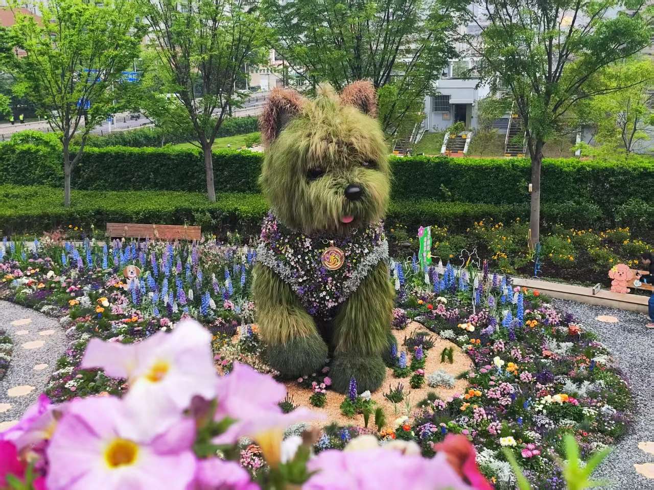 2026上海国际花卉节落幕 一朵花开出城市最温暖底色