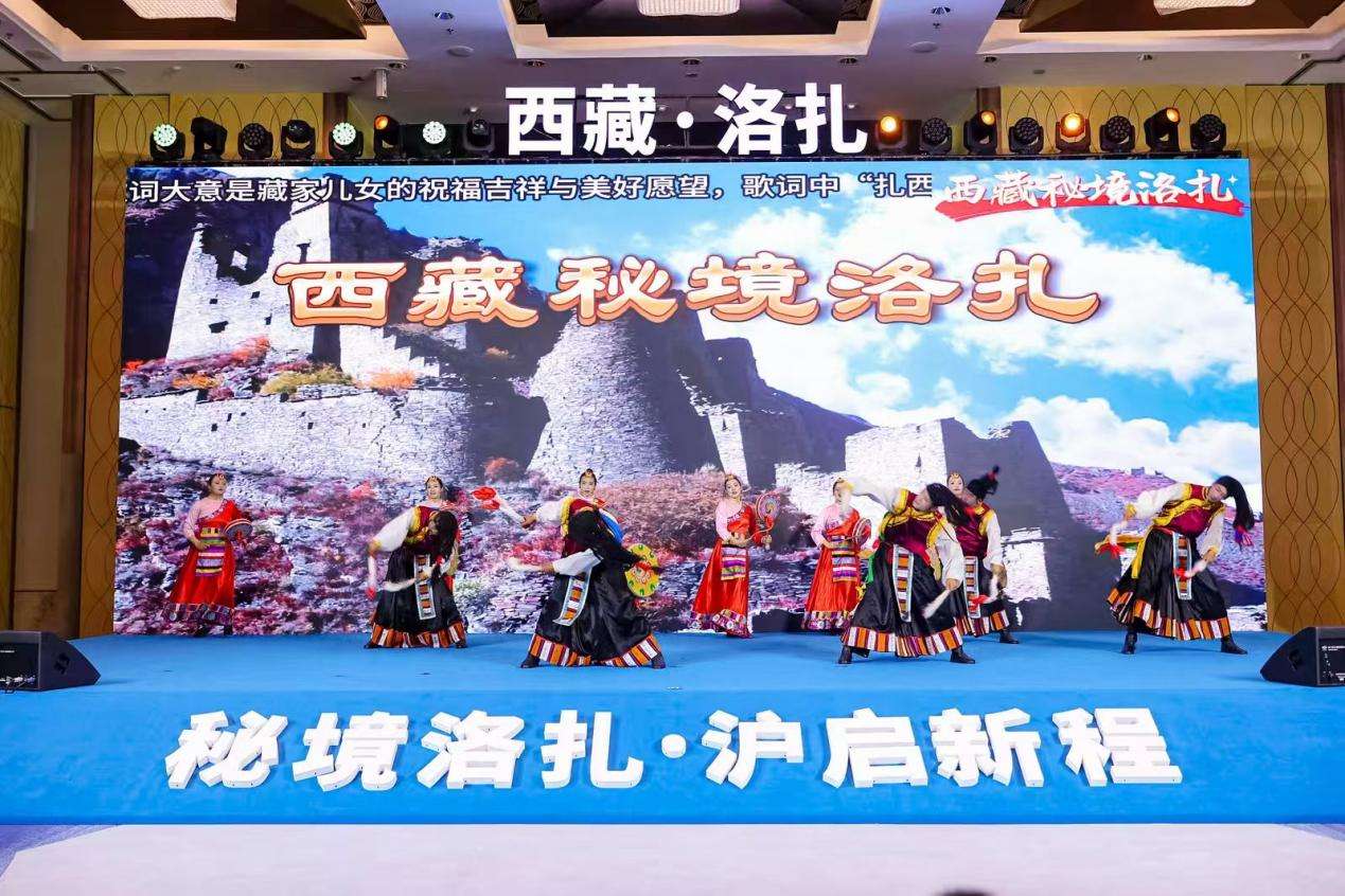 聚力清洁能源深耕文旅产业，西藏洛扎在沪招商推介
