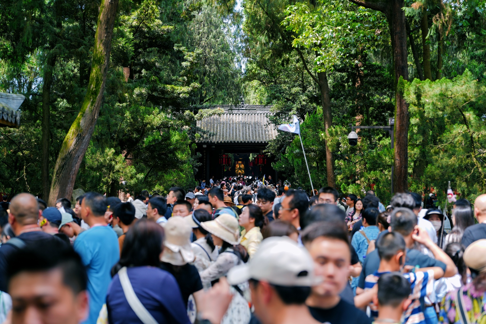 文脉华章丨四川的博物馆太夯了!1年1.06亿人次认证