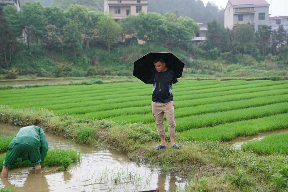 镜观·回响丨让每个生命都绽放光芒