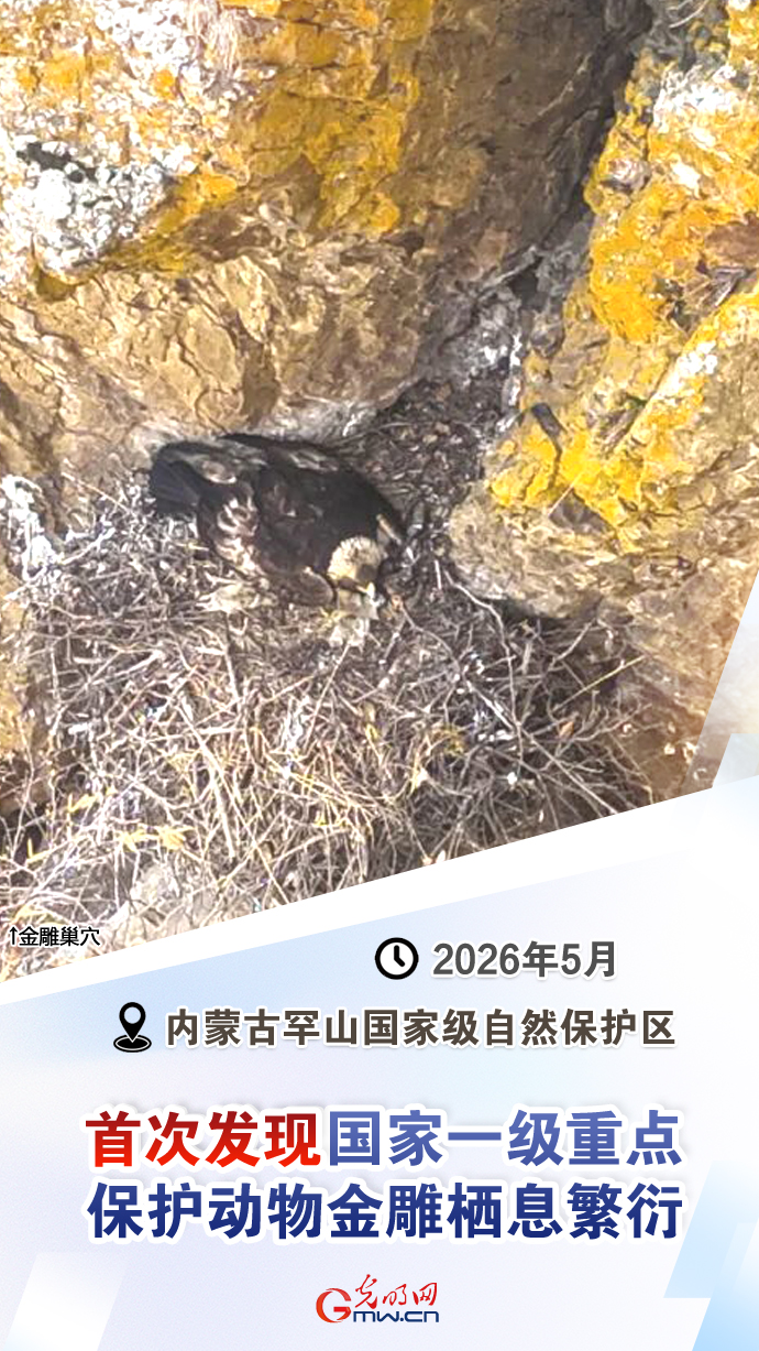 【国际生物多样性日】这些“首次”见证生态环境持续向好