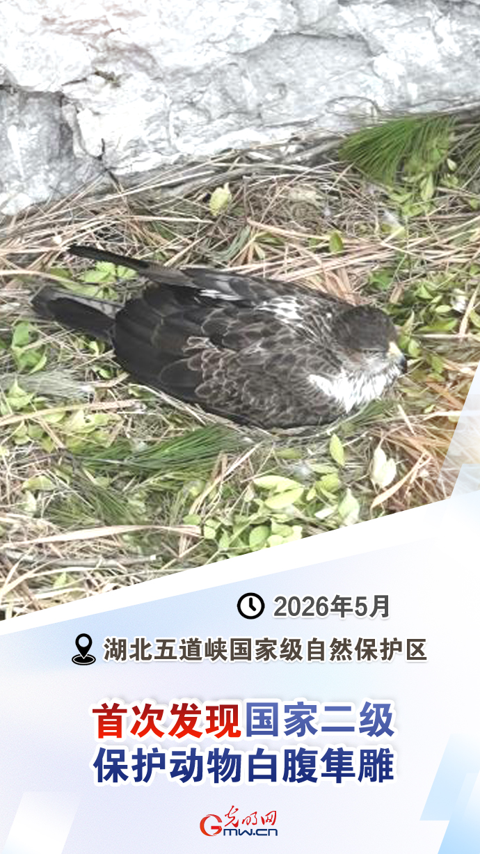 【国际生物多样性日】这些“首次”见证生态环境持续向好