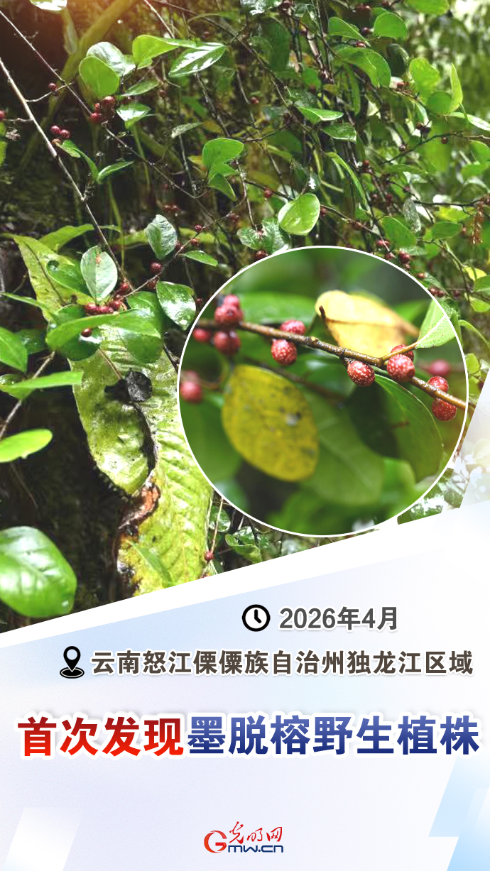 【国际生物多样性日】这些“首次”见证生态环境持续向好