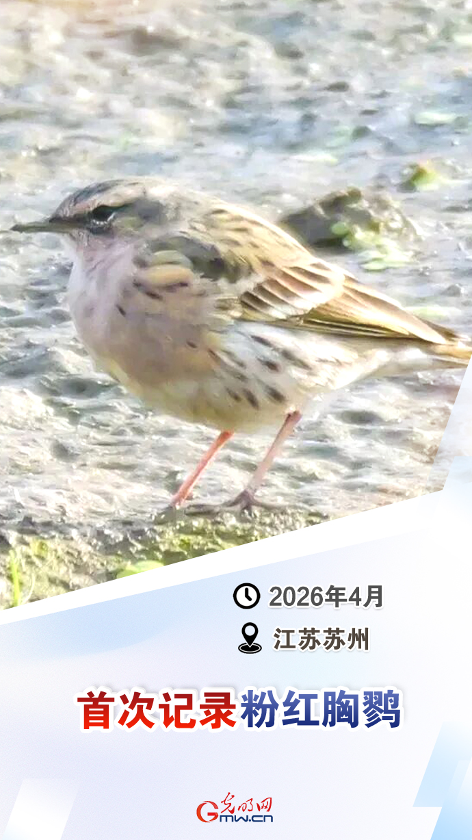 【国际生物多样性日】这些“首次”见证生态环境持续向好