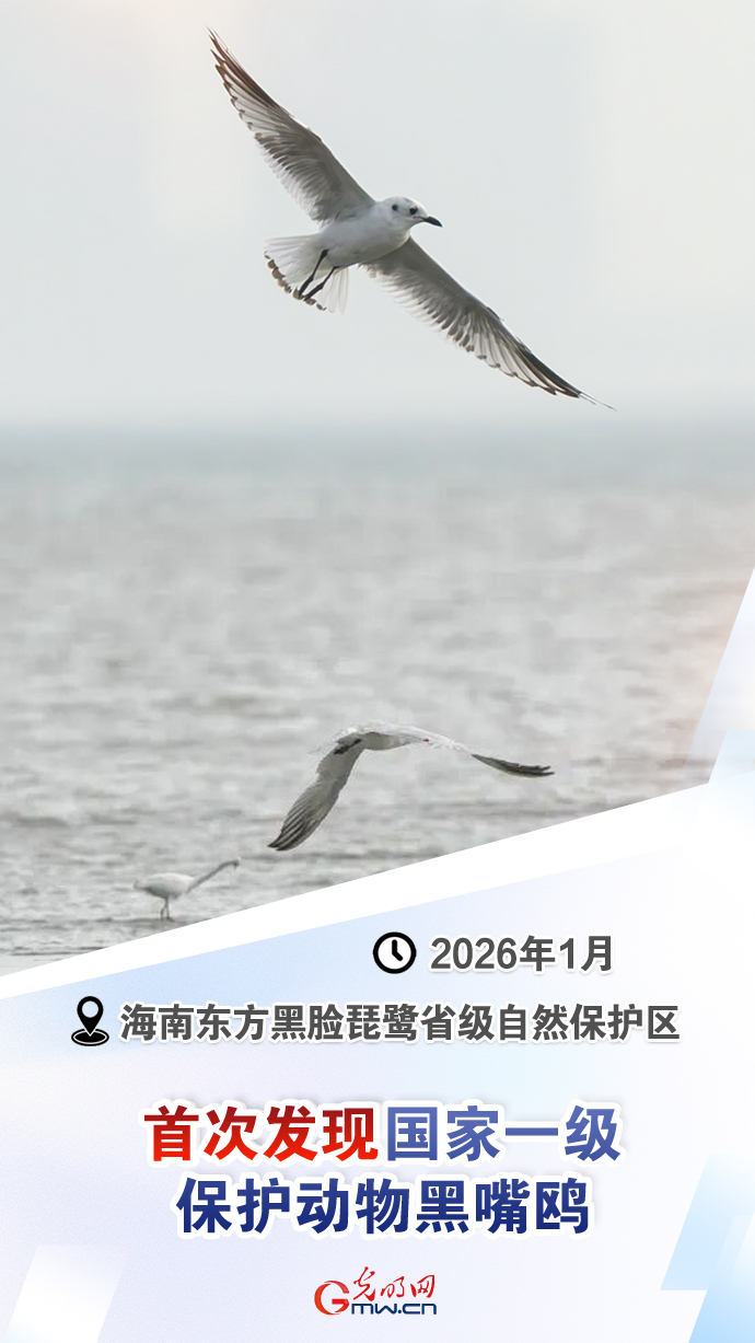 【国际生物多样性日】这些“首次”见证生态环境持续向好