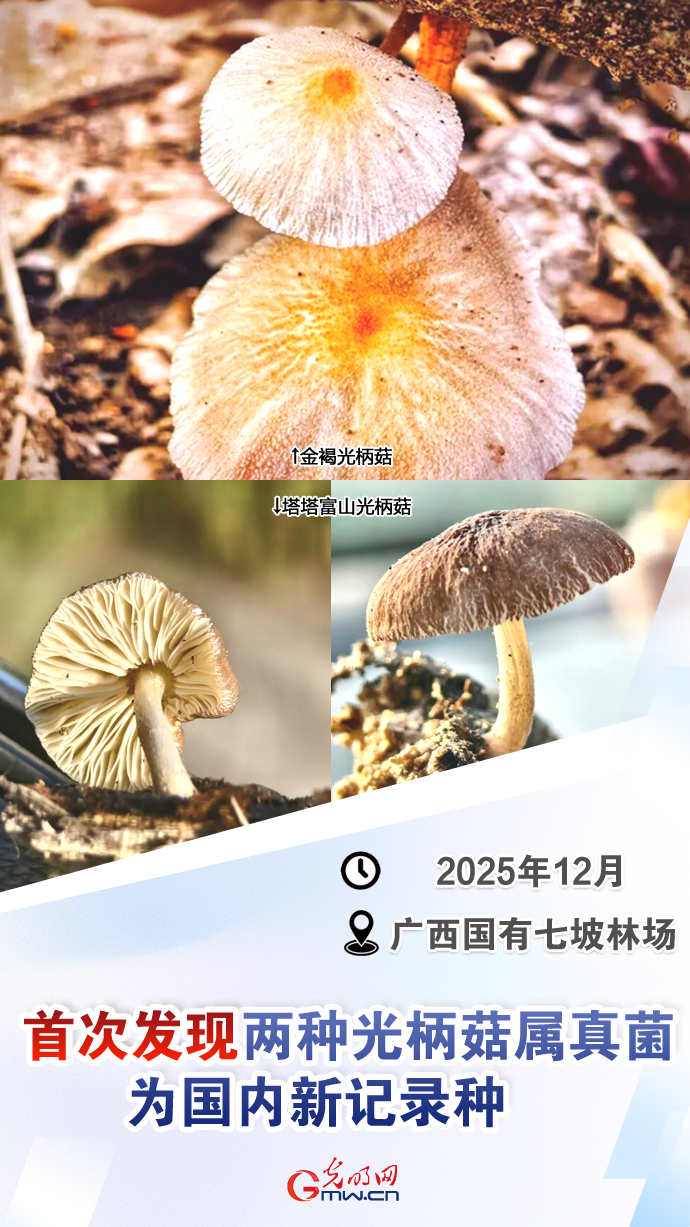 【国际生物多样性日】这些“首次”见证生态环境持续向好