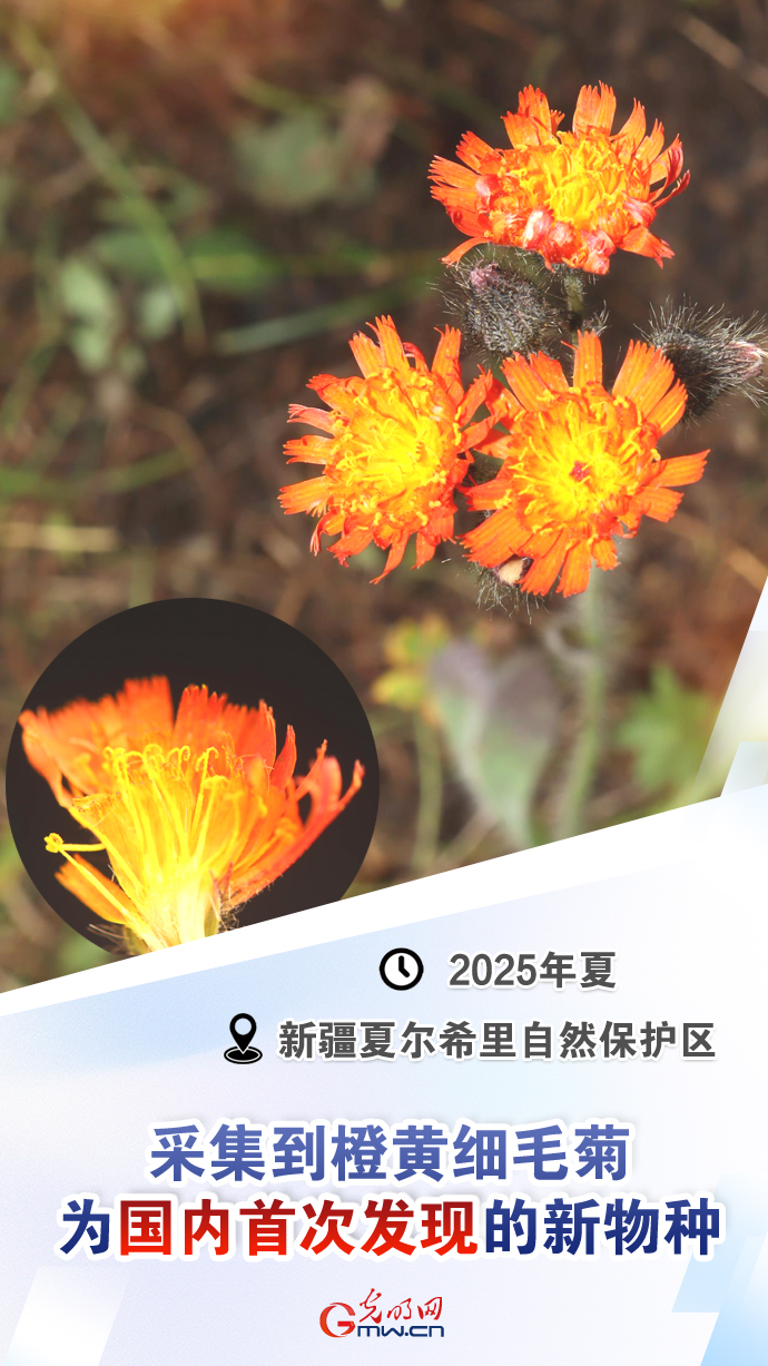 【国际生物多样性日】这些“首次”见证生态环境持续向好