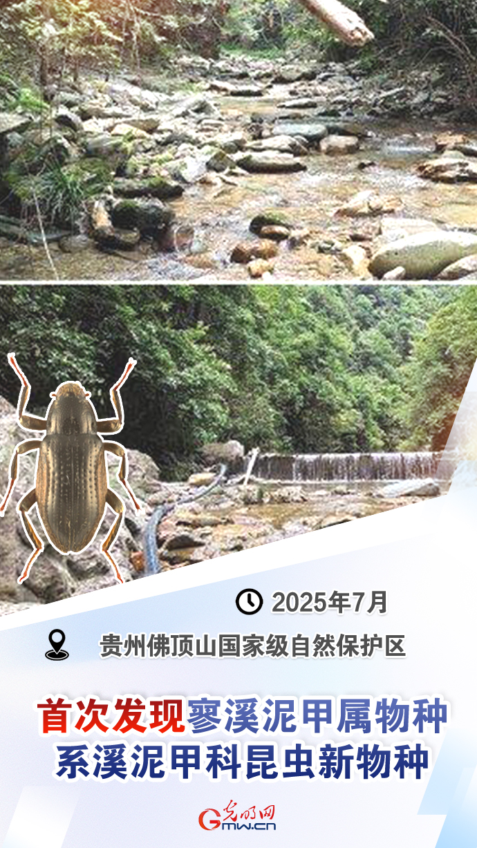 【国际生物多样性日】这些“首次”见证生态环境持续向好
