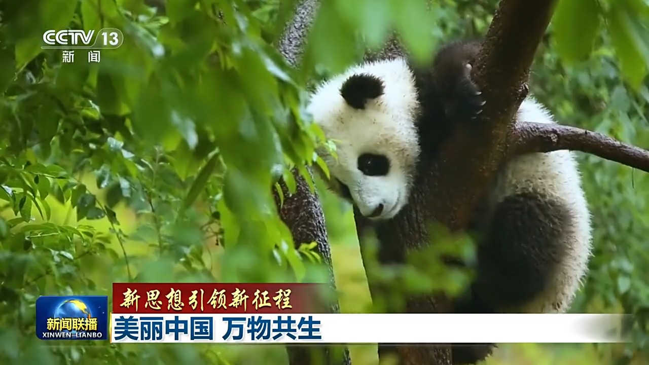 新思想引领新征程丨美丽中国 万物共生
