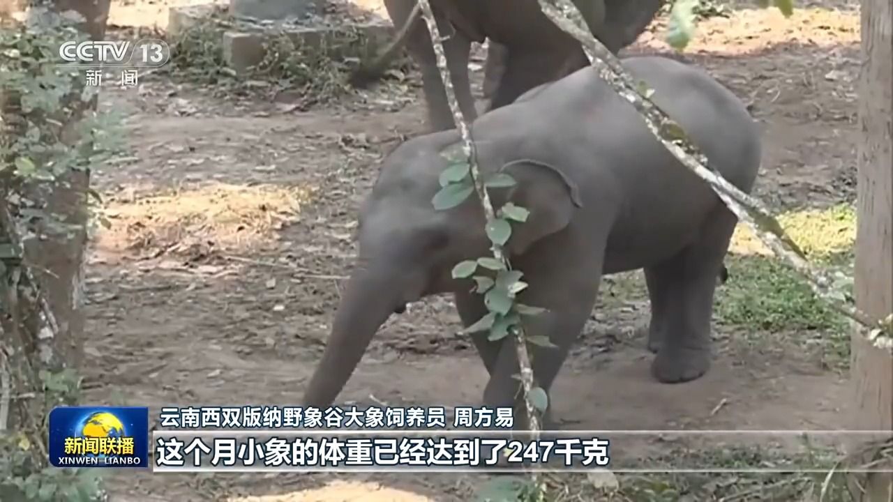 新思想引领新征程丨美丽中国 万物共生