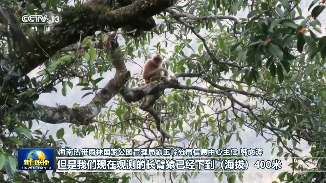 新思想引领新征程丨美丽中国 万物共生
