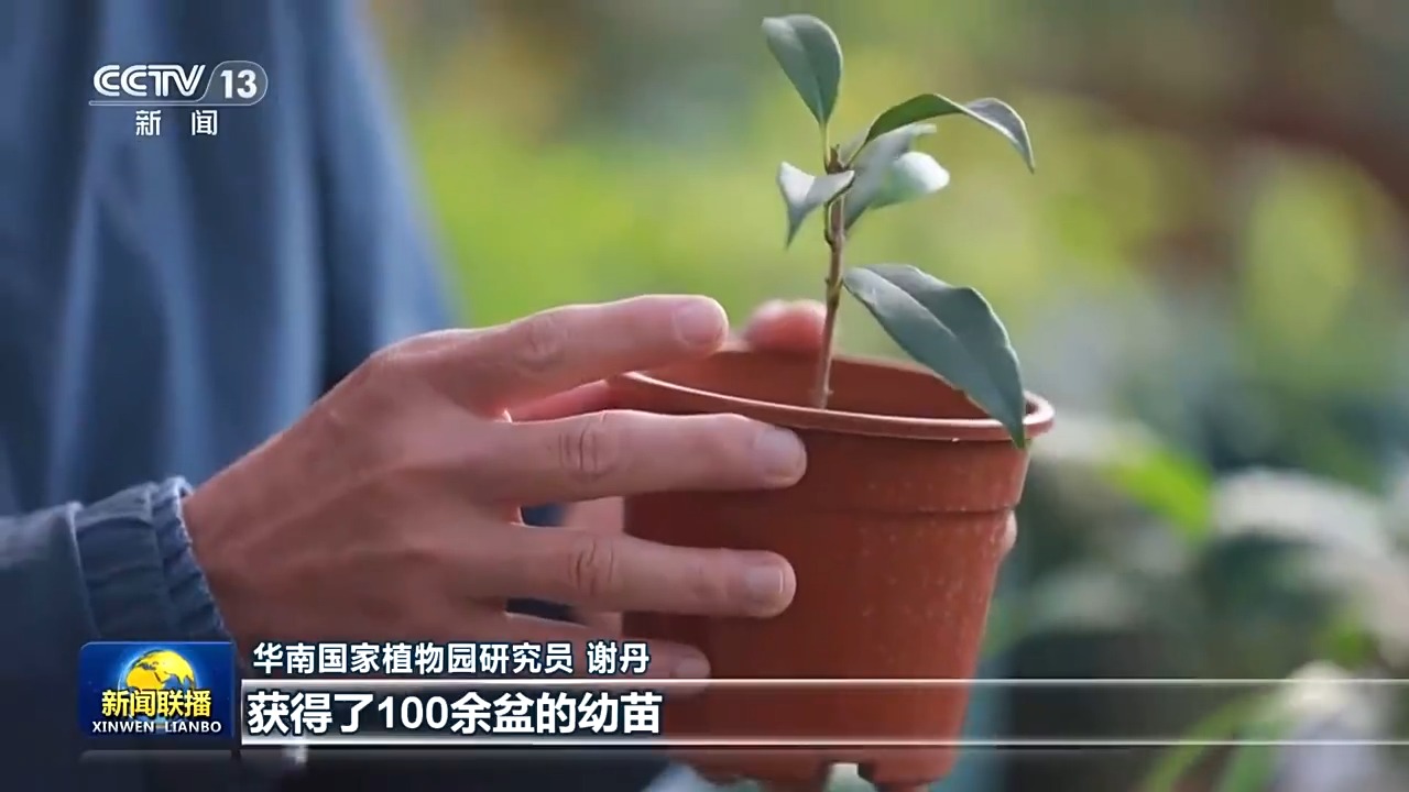 新思想引领新征程丨美丽中国 万物共生