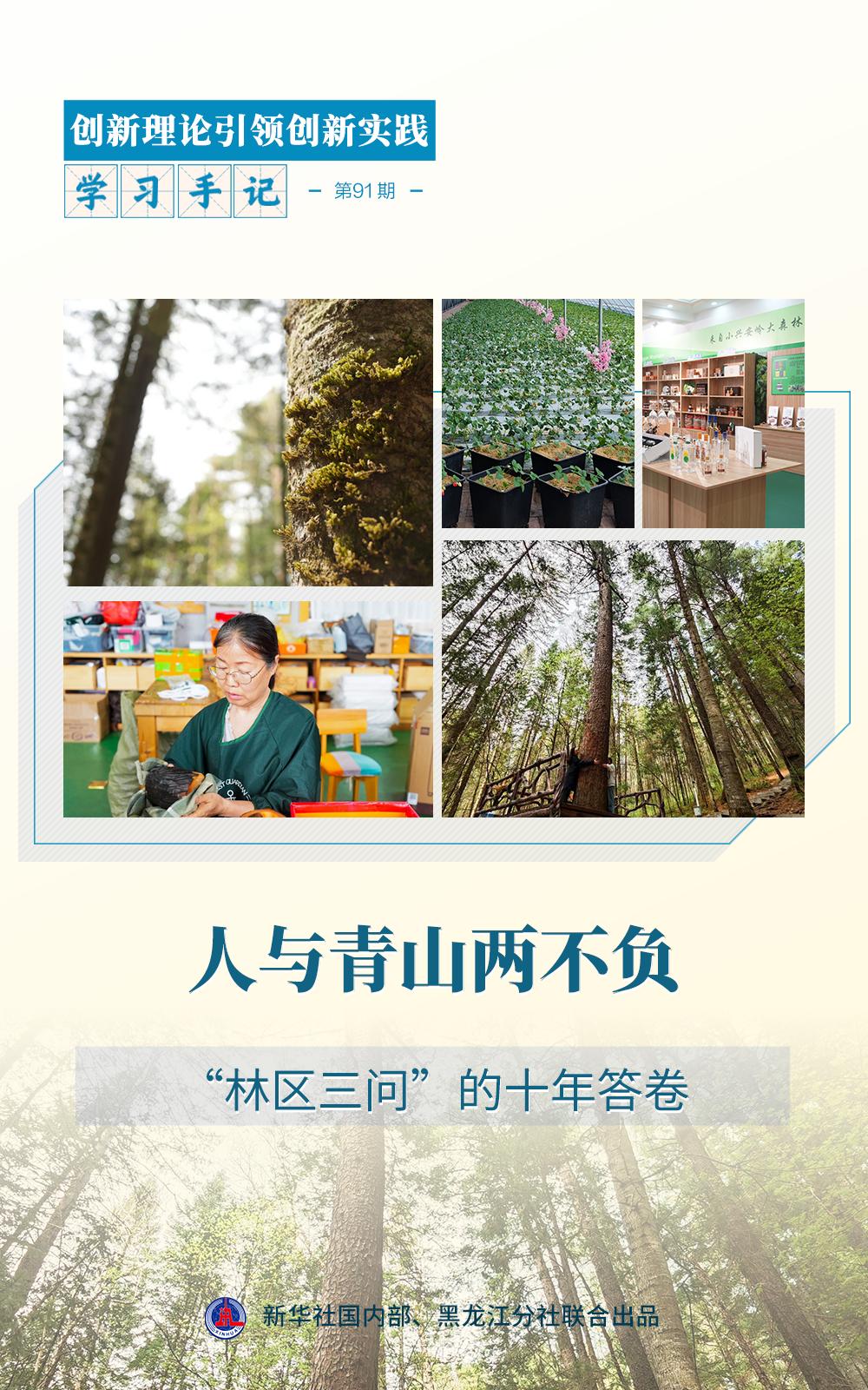 学习手记·创新理论引领创新实践|人与青山两不负——“林区三问”的十年答卷