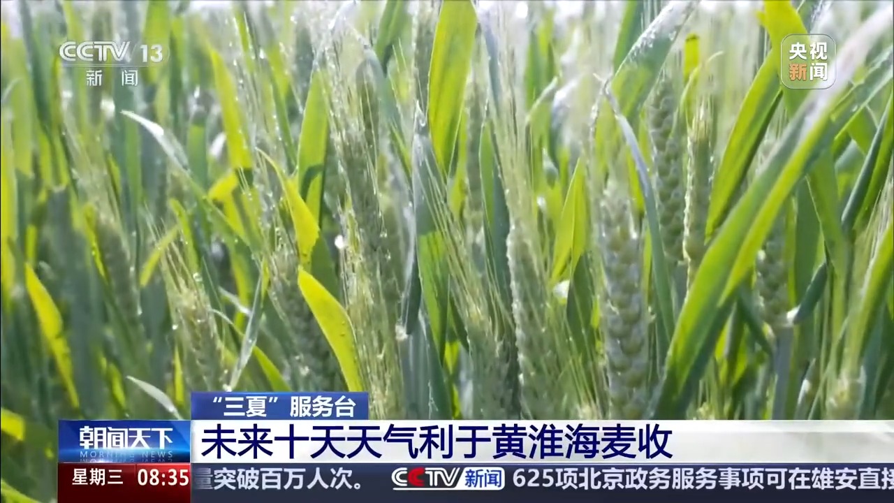 “三夏”抢收正值汛期,如何科学开展“龙口夺粮”?
