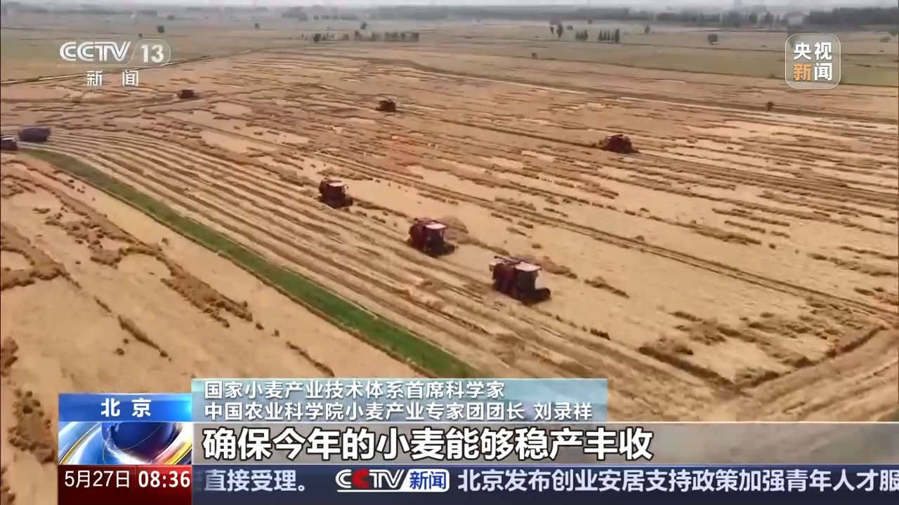 “三夏”抢收正值汛期,如何科学开展“龙口夺粮”?