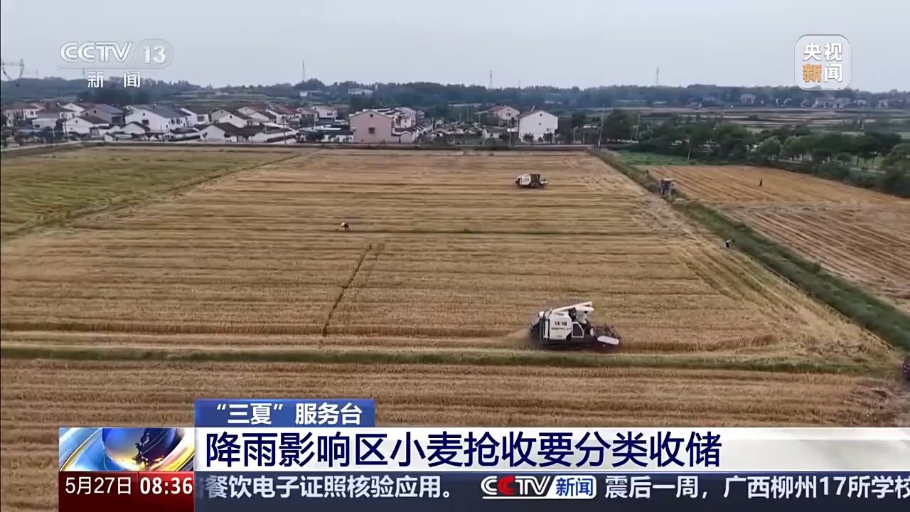 “三夏”抢收正值汛期,如何科学开展“龙口夺粮”?