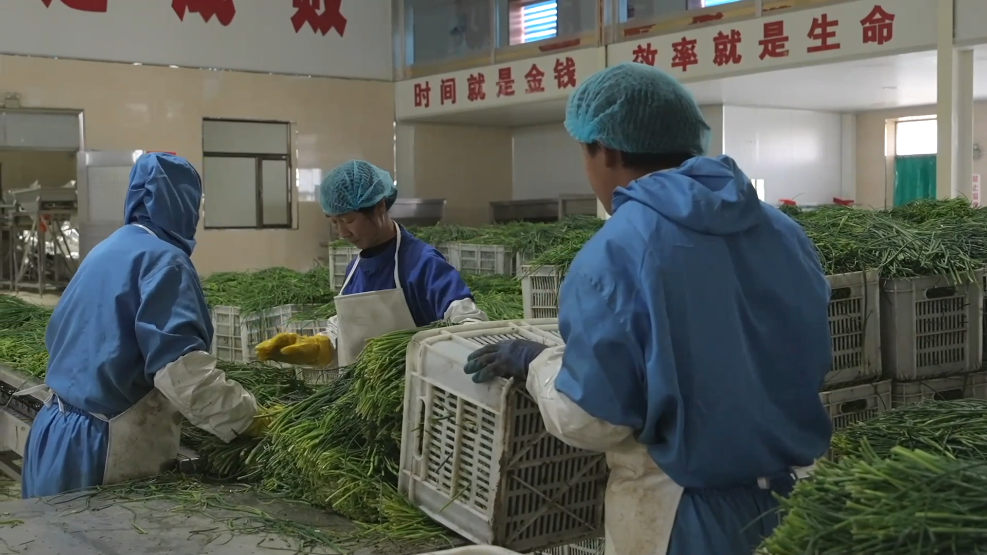 新华视点|一地一特色 产业促振兴